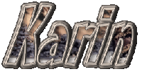 3D-schrift mit bild