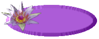 individueller button
