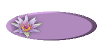button Pfadform